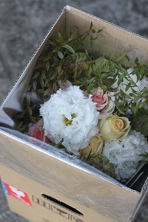 IMG_1058