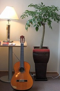 IMG_5207